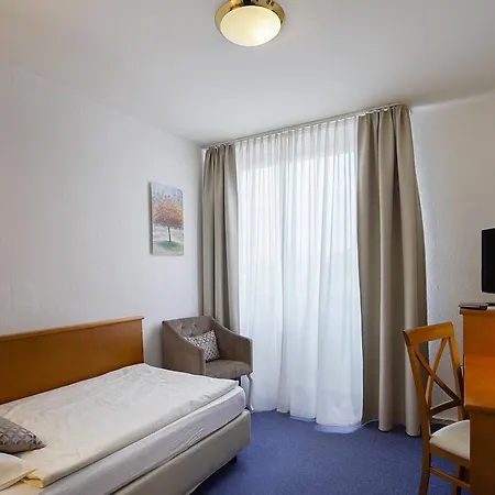 Guest house Maxim 2*