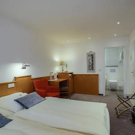 Guest house Maxim 2*