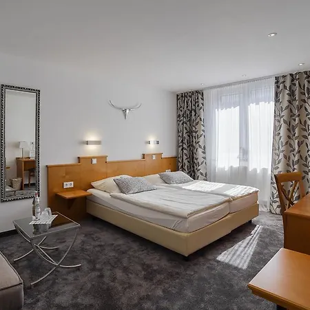 Maxim Guest house 2*