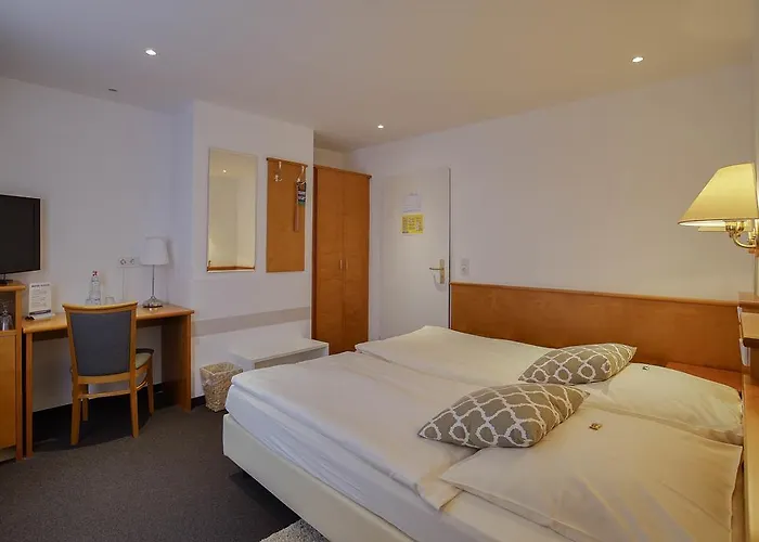 Maxim 게스트하우스